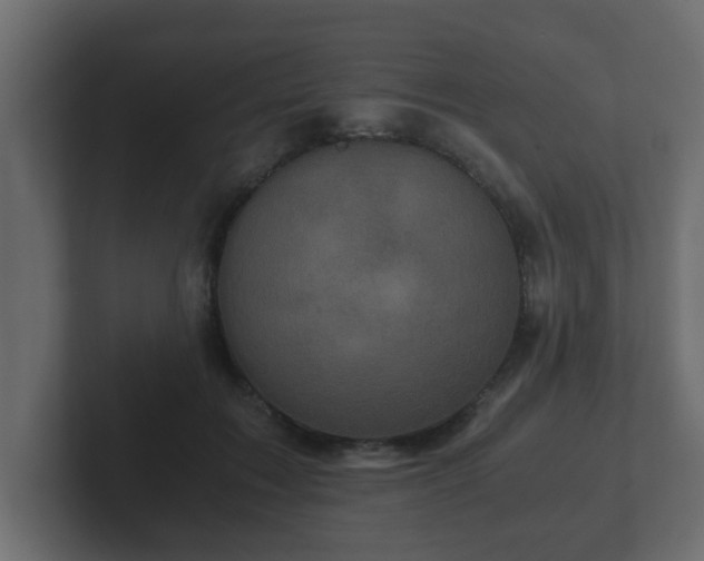 X0000102800603200808251050