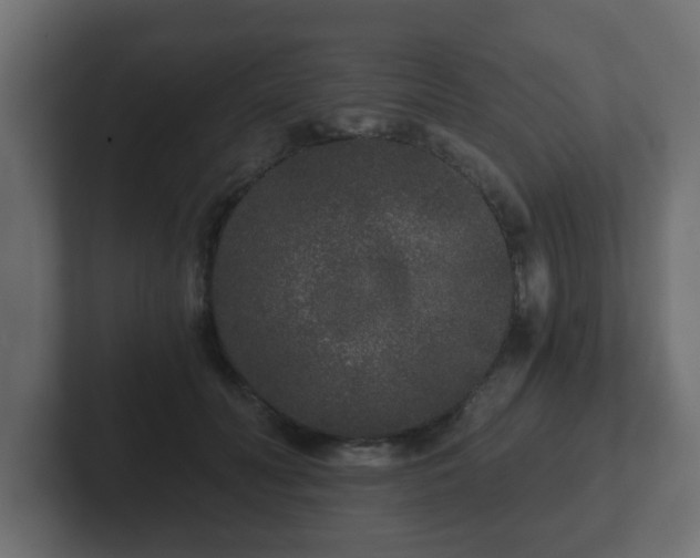 X0000102800606200808251050