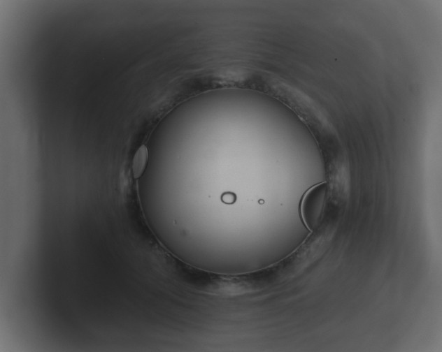 X0000102800608200808251050