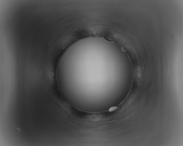 X0000102800615200808251050