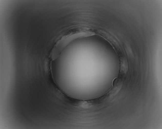 X0000102800616200808251050