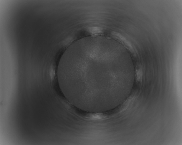 X0000102800618200808251050