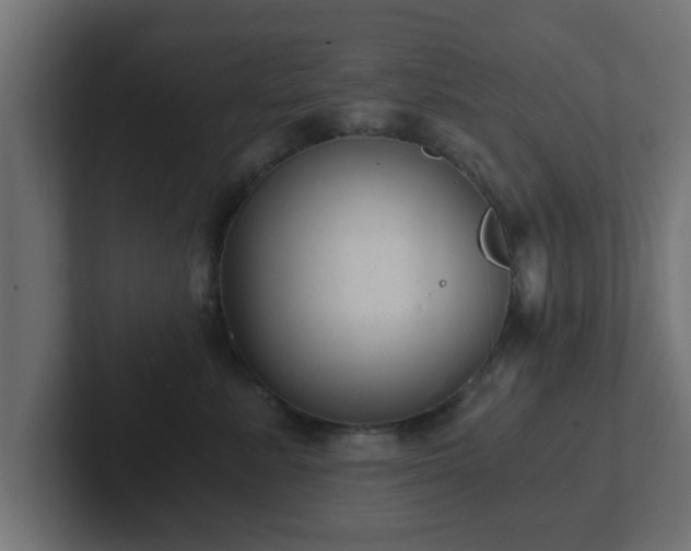 X0000102800619200808251050