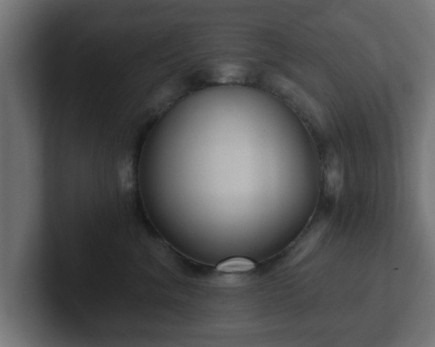 X0000102800620200808251050