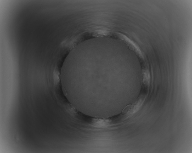 X0000102800621200808251050