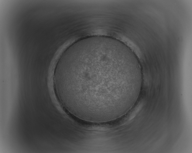 X0000102800625200808251049