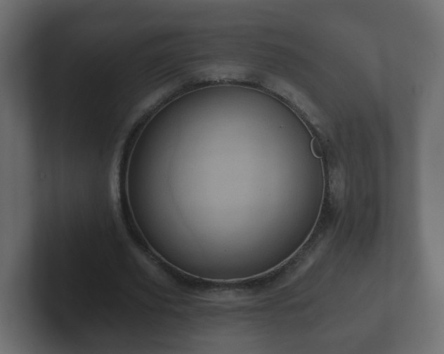 X0000102800629200808251049