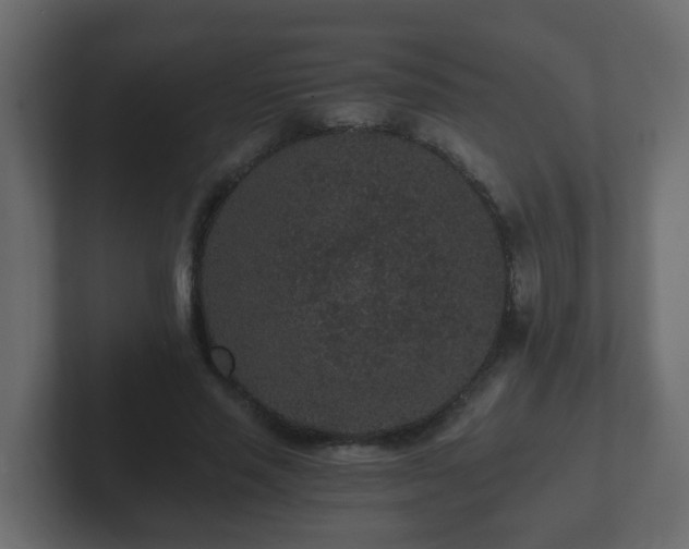 X0000102800637200808251049