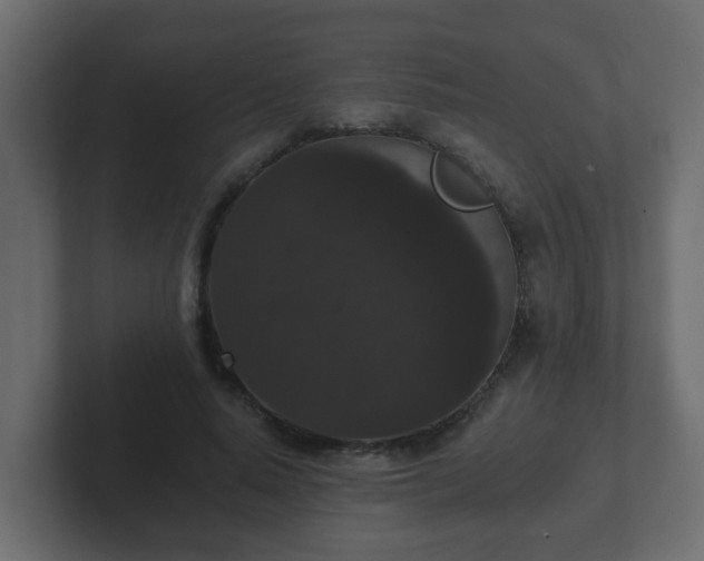 X0000102800640200808251049