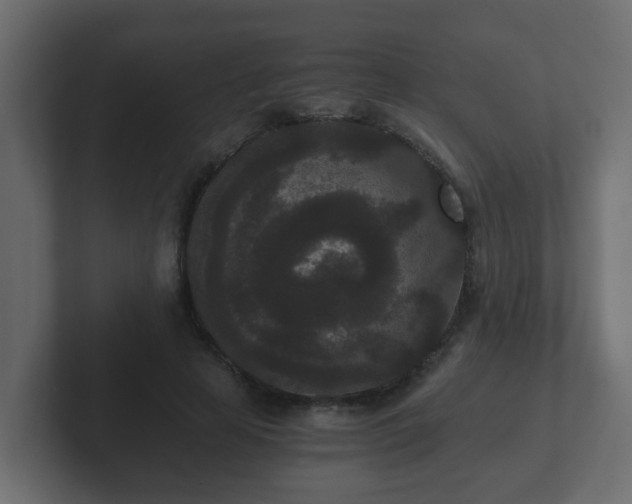 X0000102800641200808251050