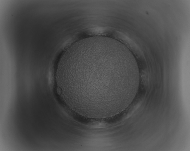 X0000102800642200808251050