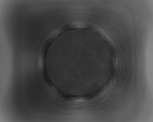 X0000102800643200808251050