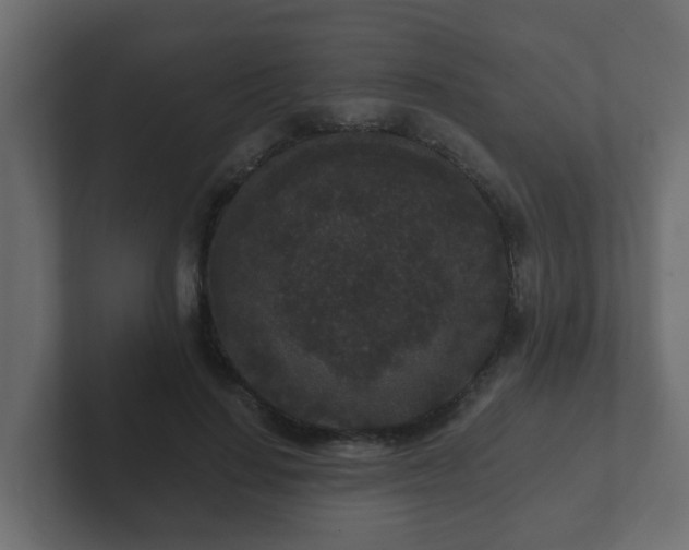 X0000102800644200808251050