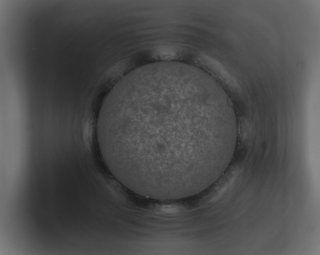 X0000102800645200808251050