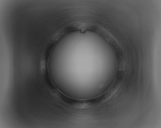 X0000102800646200808251050