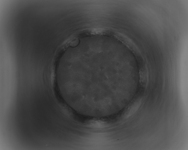 X0000102800648200808251050