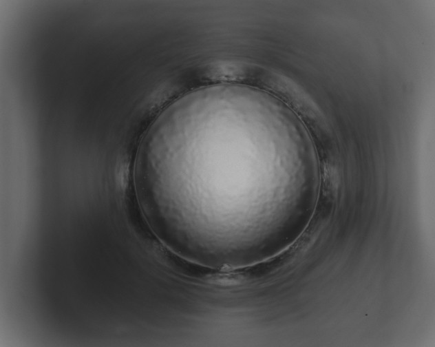 X0000102800652200808251050