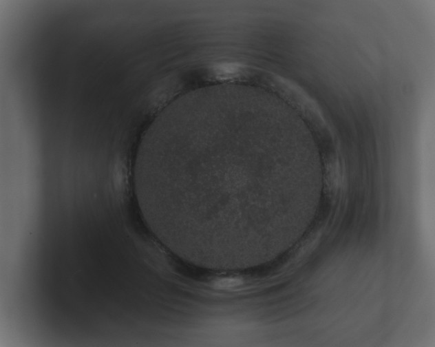 X0000102800653200808251050