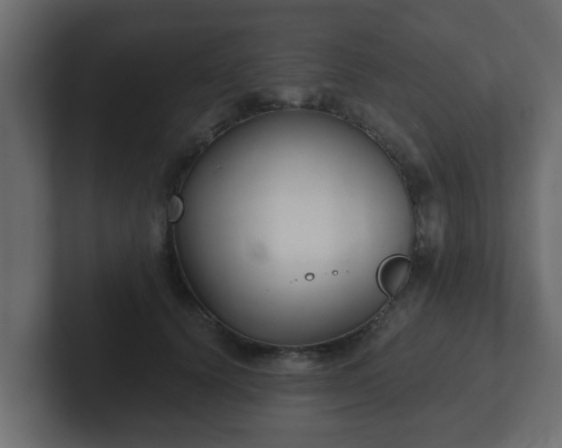 X0000102800656200808251050