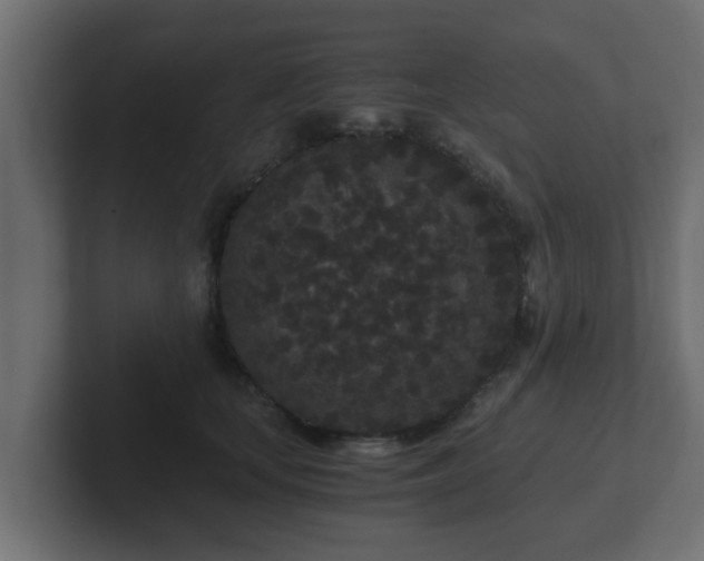 X0000102800659200808251050