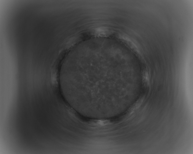 X0000102800663200808251050