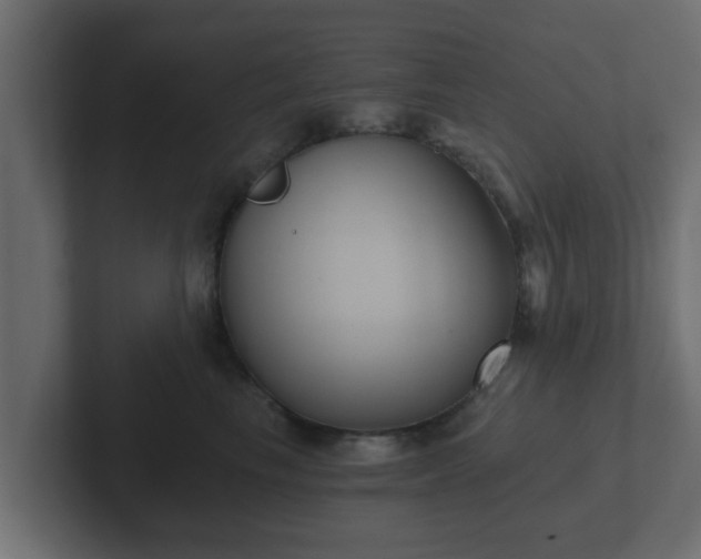 X0000102800665200808251050