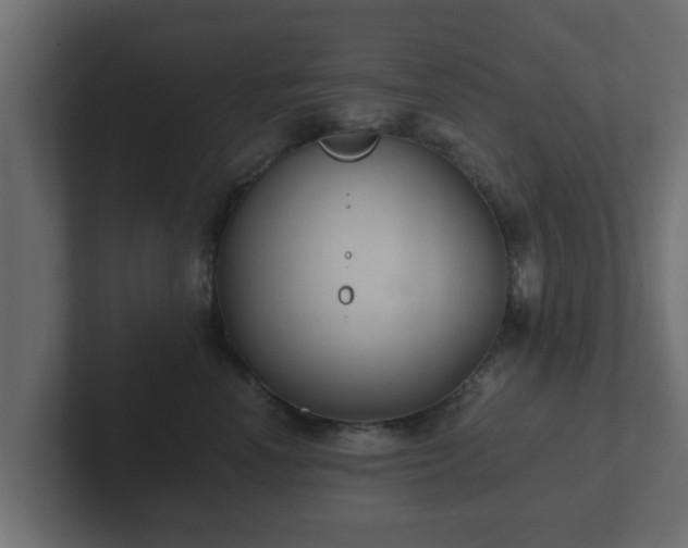 X0000102800666200808251050