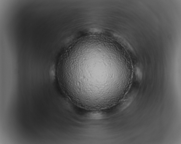 X0000102800668200808251050