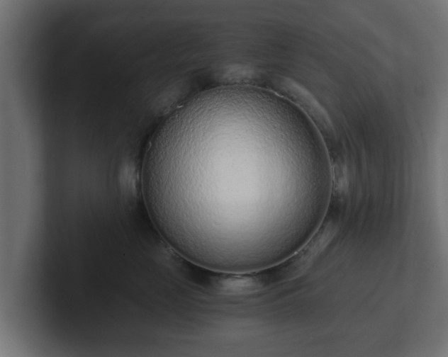 X0000102800669200808251050