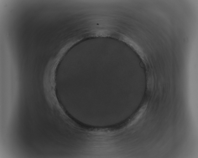 X0000102800673200808251049