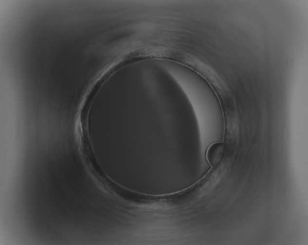 X0000102800674200808251049