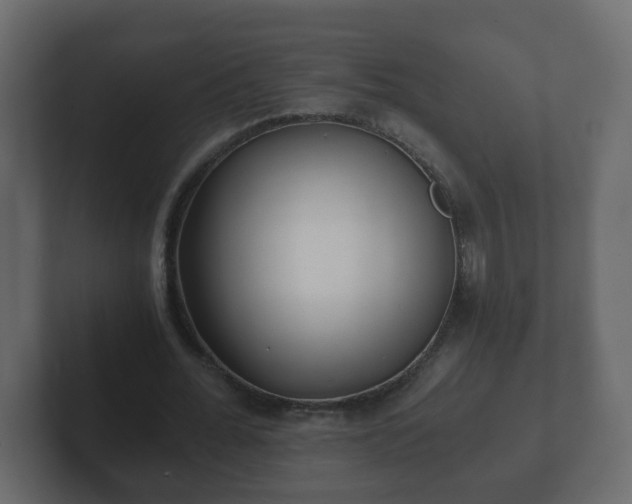 X0000102800676200808251049