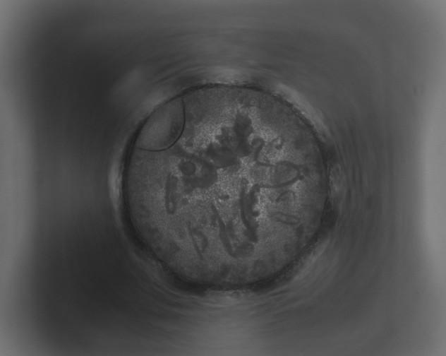 X0000102800679200808251049