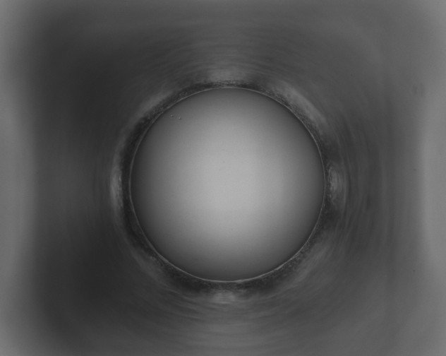 X0000102800684200808251049