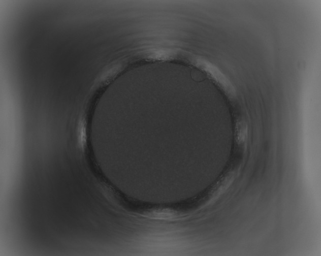 X0000102800685200808251049