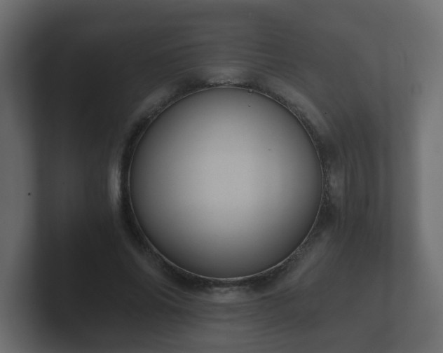 X0000102800686200808251049