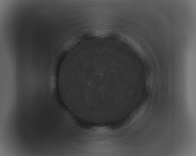 X0000102800689200808251049