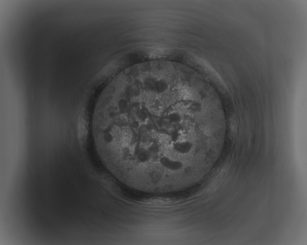 X0000102800691200808251049