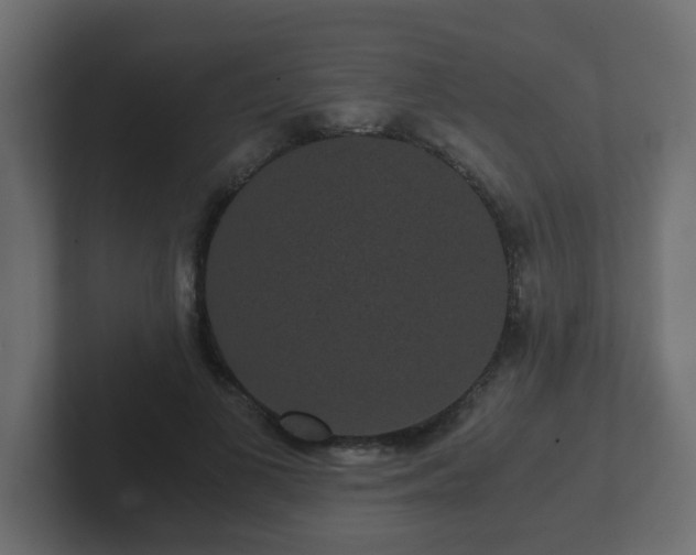 X0000102800693200808251049