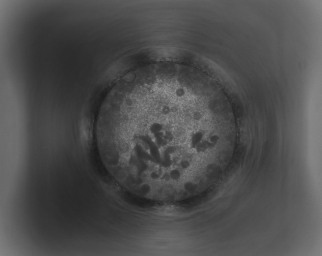 X0000102800695200808251049