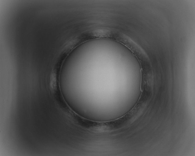 X0000102800696200808251049