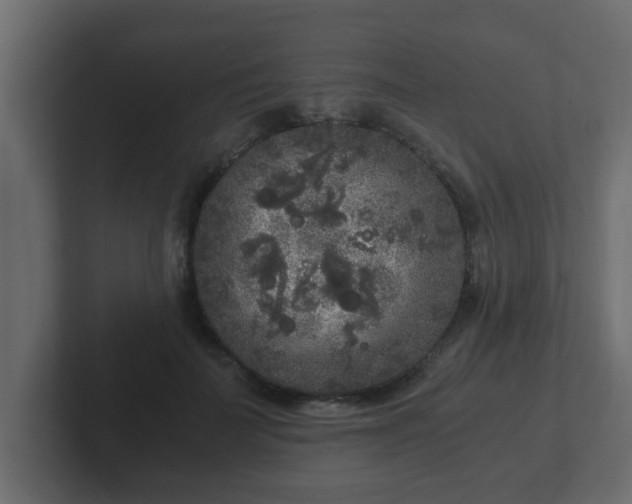 X0000102800699200808251049