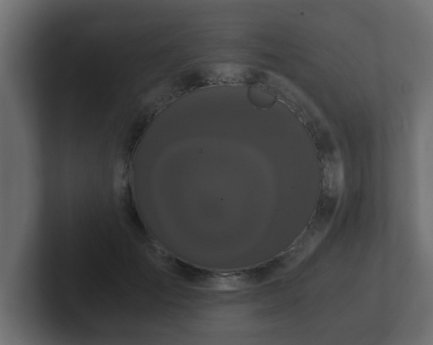 X0000102800701200808251049