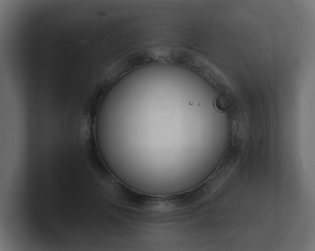 X0000102800702200808251049