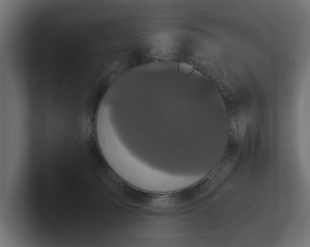 X0000102800705200808251049