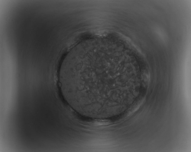 X0000102800707200808251049