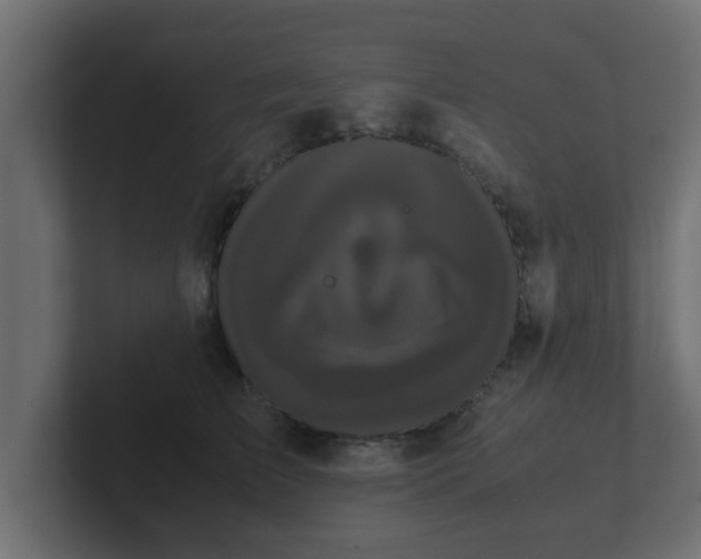 X0000102800709200808251049