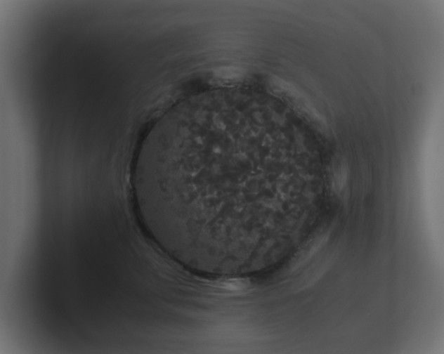 X0000102800711200808251049