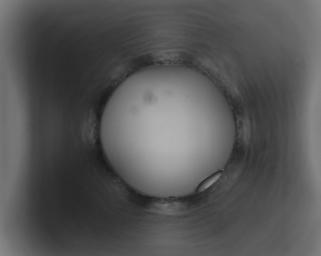 X0000102800712200808251049