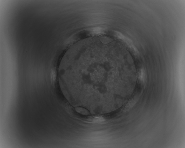 X0000102800715200808251049